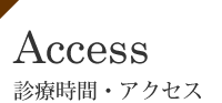 Access fÎԁEANZX